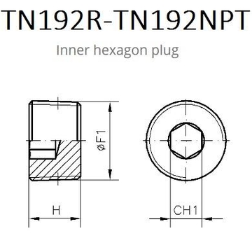 TN192 Заглушка ввертная с внутренним шестигранником